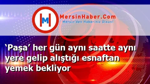‘Paşa’ her gün aynı saatte aynı yere gelip alıştığı esnaftan yemek bekliyor