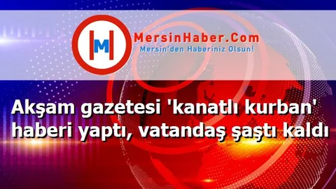Akşam gazetesi 'kanatlı kurban' haberi yaptı, vatandaş şaştı kaldı