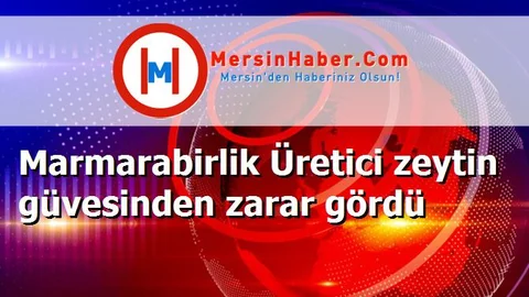 Marmarabirlik Üretici zeytin güvesinden zarar gördü