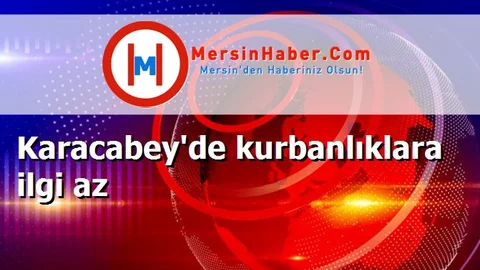 Karacabey'de kurbanlıklara ilgi az