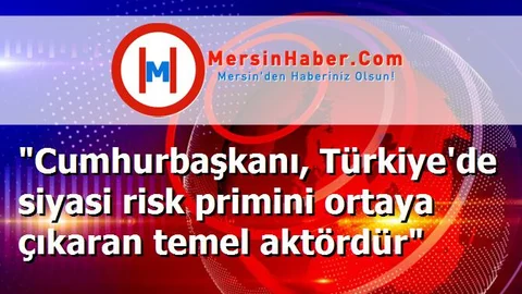 "Cumhurbaşkanı, Türkiye'de siyasi risk primini ortaya çıkaran temel aktördür"