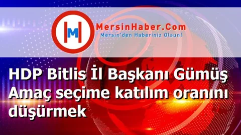 HDP Bitlis İl Başkanı Gümüş Amaç seçime katılım oranını düşürmek
