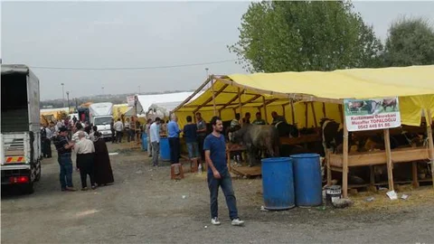 Yaz ve bayram tatilinin uzaması kurban satıcılarını üzdü