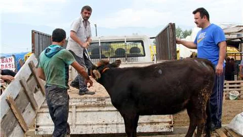 Kurban pazarlarında son gün telaşı