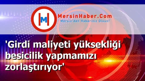 'Girdi maliyeti yüksekliği besicilik yapmamızı zorlaştırıyor'