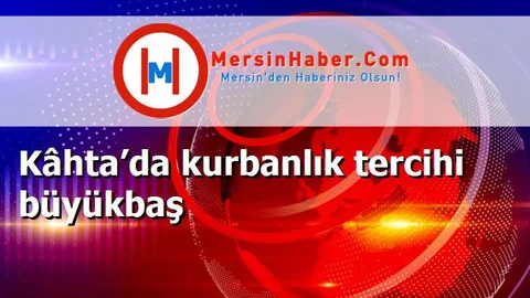 Kâhta’da kurbanlık tercihi büyükbaş