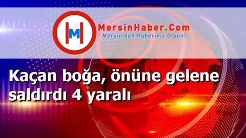 Kaçan boğa, önüne gelene saldırdı 4 yaralı
