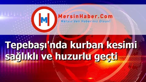 Tepebaşı'nda kurban kesimi sağlıklı ve huzurlu geçti