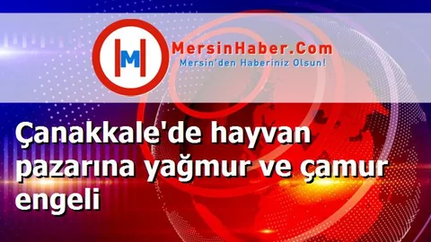 Çanakkale'de hayvan pazarına yağmur ve çamur engeli
