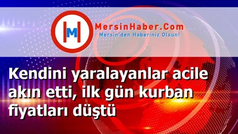 Kendini yaralayanlar acile akın etti, ilk gün kurban fiyatları düştü