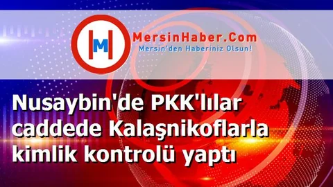 Nusaybin'de PKK'lılar caddede Kalaşnikoflarla kimlik kontrolü yaptı