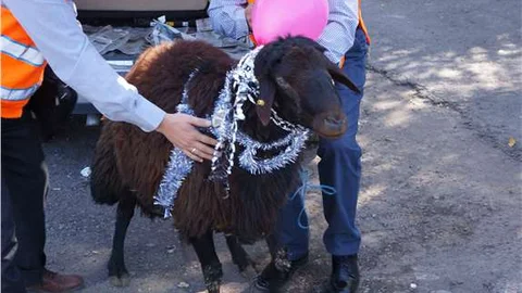 Şehit ailesine Kimse Yok Mu'dan koç hediyesi