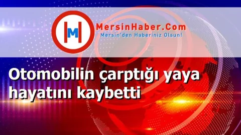 Otomobilin çarptığı yaya hayatını kaybetti