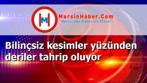 Bilinçsiz kesimler yüzünden deriler tahrip oluyor