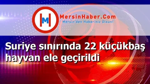 Suriye sınırında 22 küçükbaş hayvan ele geçirildi