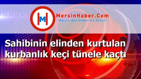 Sahibinin elinden kurtulan kurbanlık keçi tünele kaçtı