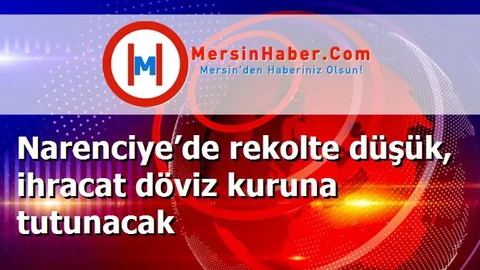 Narenciye’de rekolte düşük, ihracat döviz kuruna tutunacak