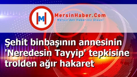 Şehit binbaşının annesinin 'Neredesin Tayyip' tepkisine trolden ağır hakaret