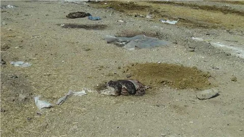 Temizlenmeyen kurban pazarları sağlığı tehdit ediyor