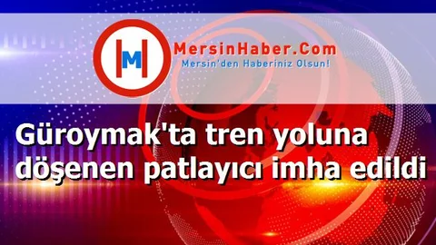 Güroymak'ta tren yoluna döşenen patlayıcı imha edildi