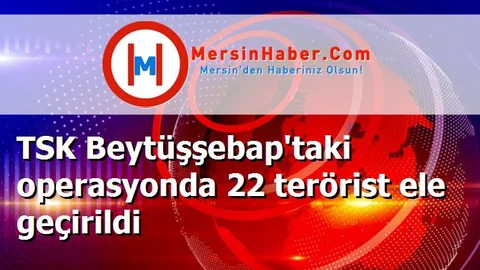 TSK Beytüşşebap'taki operasyonda 22 terörist ele geçirildi