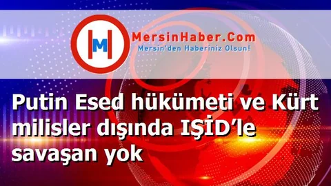 Putin Esed hükümeti ve Kürt milisler dışında IŞİD’le savaşan yok