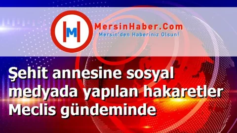 Şehit annesine sosyal medyada yapılan hakaretler Meclis gündeminde