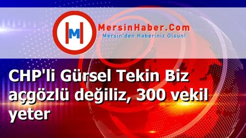 CHP'li Gürsel Tekin Biz açgözlü değiliz, 300 vekil yeter