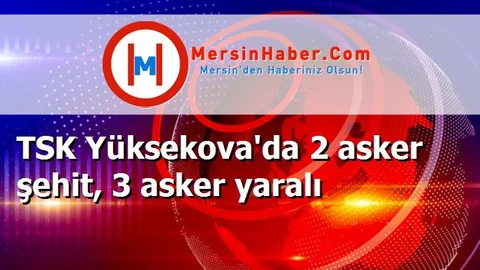 TSK Yüksekova'da 2 asker şehit, 3 asker yaralı