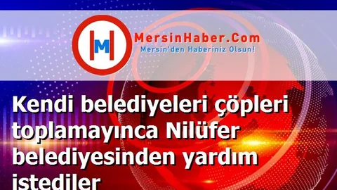 Kendi belediyeleri çöpleri toplamayınca Nilüfer belediyesinden yardım istediler