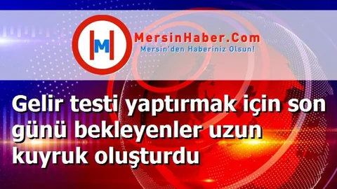 Gelir testi yaptırmak için son günü bekleyenler uzun kuyruk oluşturdu