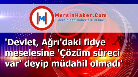 'Devlet, Ağrı'daki fidye meselesine 'Çözüm süreci var' deyip müdahil olmadı'
