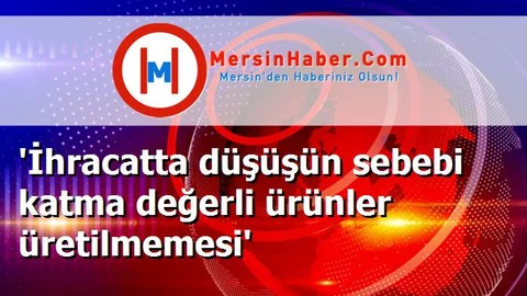 'İhracatta düşüşün sebebi katma değerli ürünler üretilmemesi'