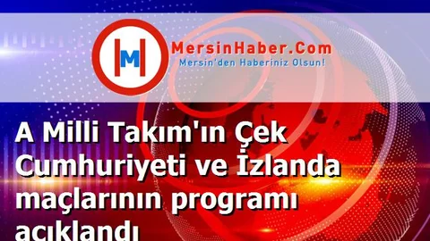 A Milli Takım'ın Çek Cumhuriyeti ve İzlanda maçlarının programı açıklandı