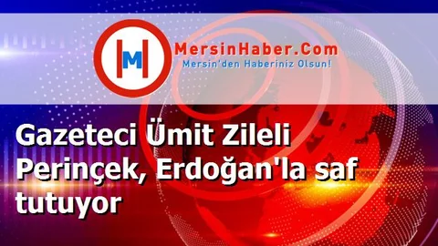 Gazeteci Ümit Zileli Perinçek, Erdoğan'la saf tutuyor