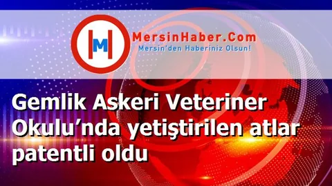 Gemlik Askeri Veteriner Okulu’nda yetiştirilen atlar patentli oldu