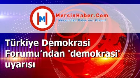 Türkiye Demokrasi Forumu’ndan 'demokrasi' uyarısı