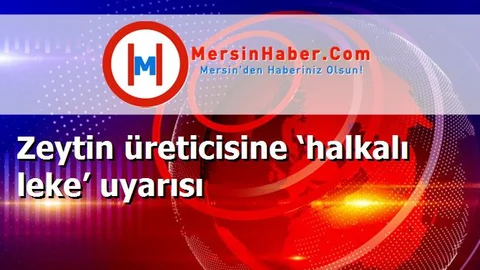 Zeytin üreticisine ‘halkalı leke’ uyarısı