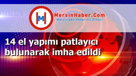14 el yapımı patlayıcı bulunarak imha edildi