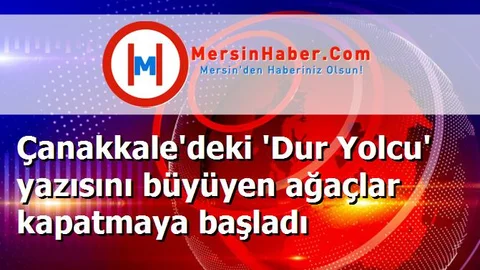 Çanakkale'deki 'Dur Yolcu' yazısını büyüyen ağaçlar kapatmaya başladı