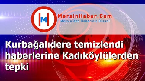 Kurbağalıdere temizlendi haberlerine Kadıköylülerden tepki