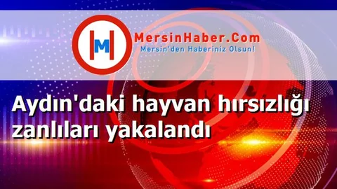 Aydın'daki hayvan hırsızlığı zanlıları yakalandı