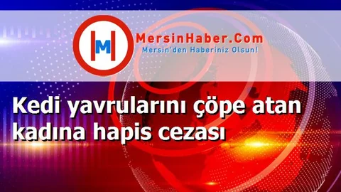 Kedi yavrularını çöpe atan kadına hapis cezası