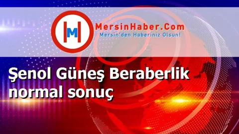 Şenol Güneş Beraberlik normal sonuç