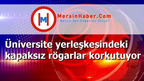 Üniversite yerleşkesindeki kapaksız rögarlar korkutuyor