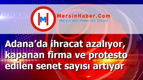 Adana’da ihracat azalıyor, kapanan firma ve protesto edilen senet sayısı artıyor