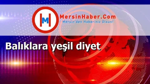 Balıklara yeşil diyet