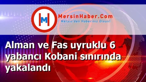 Alman ve Fas uyruklu 6 yabancı Kobani sınırında yakalandı