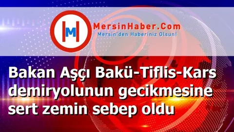 Bakan Aşçı Bakü-Tiflis-Kars demiryolunun gecikmesine sert zemin sebep oldu