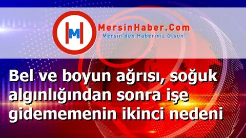 Bel ve boyun ağrısı, soğuk algınlığından sonra işe gidememenin ikinci nedeni